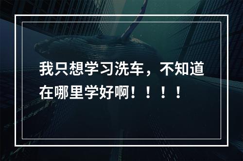 我只想学习洗车，不知道在哪里学好啊！！！！