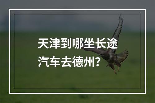 天津到哪坐长途汽车去德州？