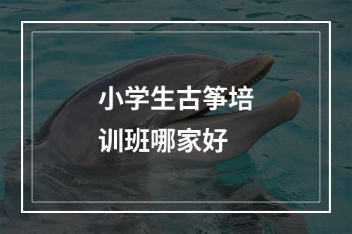 小学生古筝培训班哪家好