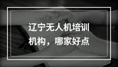 辽宁无人机培训机构，哪家好点