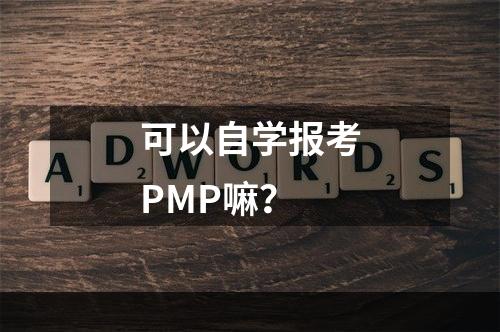 可以自学报考PMP嘛？