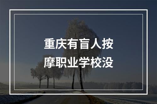 重庆有盲人按摩职业学校没