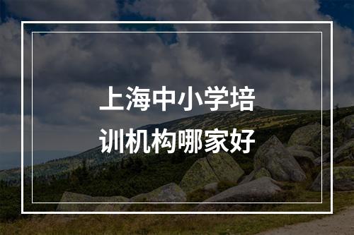 上海中小学培训机构哪家好