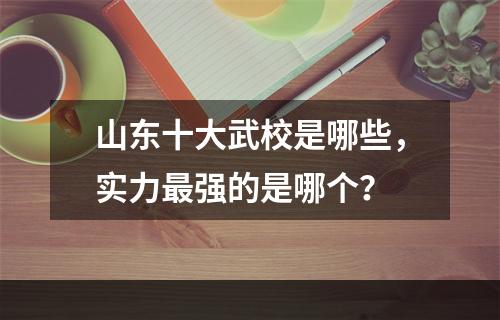 山东十大武校是哪些，实力最强的是哪个？