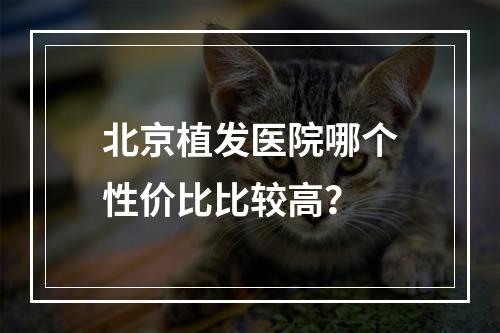 北京植发医院哪个性价比比较高？