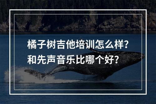 橘子树吉他培训怎么样？和先声音乐比哪个好？