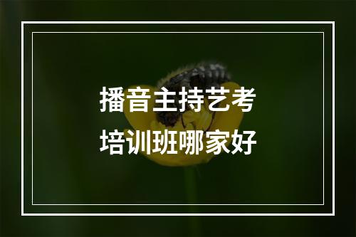 播音主持艺考培训班哪家好