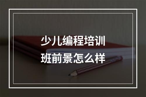 少儿编程培训班前景怎么样