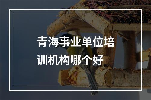 青海事业单位培训机构哪个好