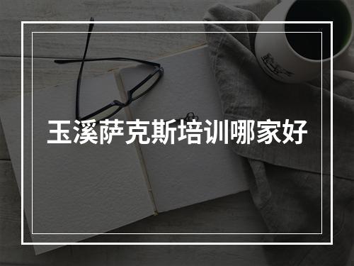 玉溪萨克斯培训哪家好