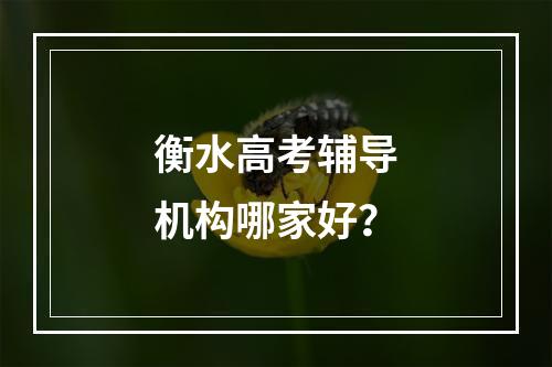 衡水高考辅导机构哪家好？