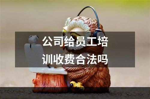 公司给员工培训收费合法吗