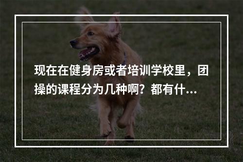 现在在健身房或者培训学校里，团操的课程分为几种啊？都有什么？