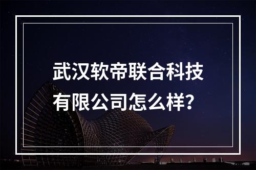 武汉软帝联合科技有限公司怎么样？