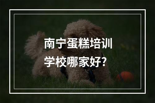 南宁蛋糕培训学校哪家好?