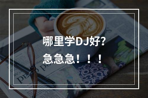 哪里学DJ好？急急急！！！