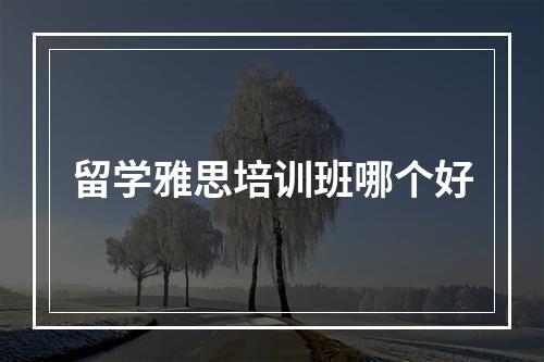 留学雅思培训班哪个好