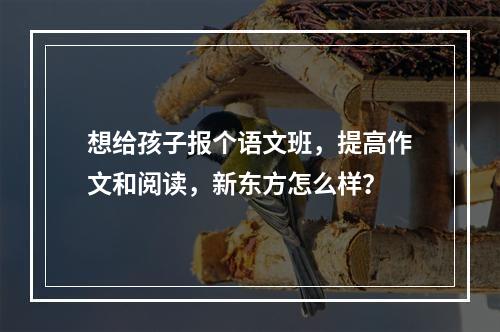 想给孩子报个语文班，提高作文和阅读，新东方怎么样？