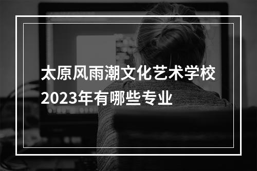 太原风雨潮文化艺术学校2023年有哪些专业