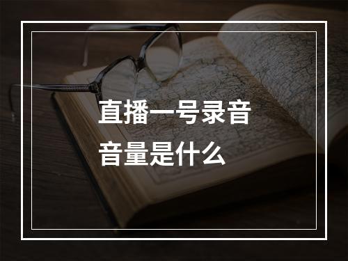 直播一号录音音量是什么