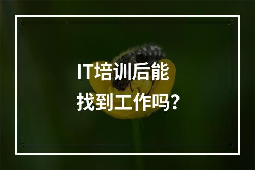 IT培训后能找到工作吗？