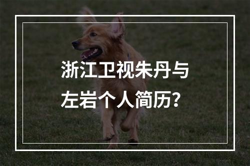 浙江卫视朱丹与左岩个人简历？