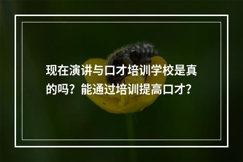 现在演讲与口才培训学校是真的吗？能通过培训提高口才？