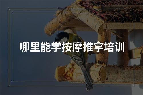 哪里能学按摩推拿培训