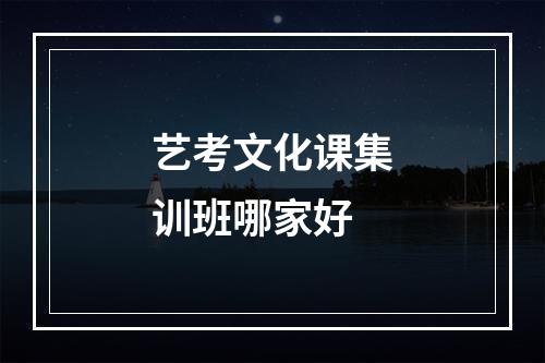 艺考文化课集训班哪家好