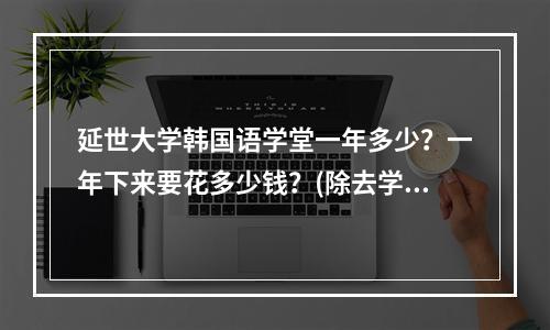 延世大学韩国语学堂一年多少？一年下来要花多少钱？(除去学费的说)去