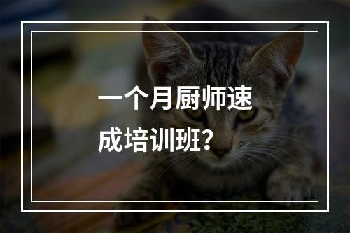 一个月厨师速成培训班？