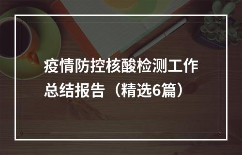 疫情防控核酸检测工作总结报告（精选6篇）