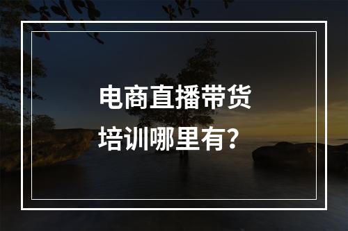 电商直播带货培训哪里有？