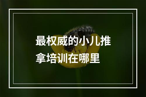 最权威的小儿推拿培训在哪里