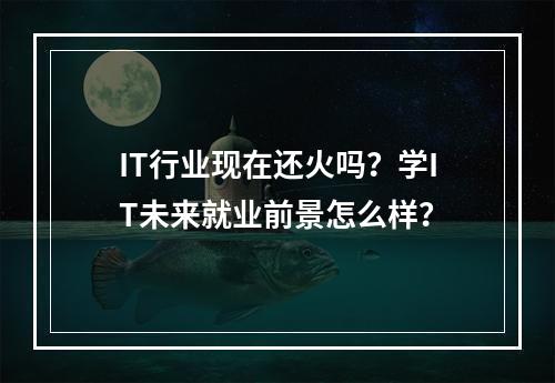 IT行业现在还火吗？学IT未来就业前景怎么样？