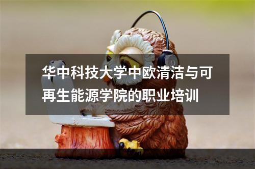 华中科技大学中欧清洁与可再生能源学院的职业培训