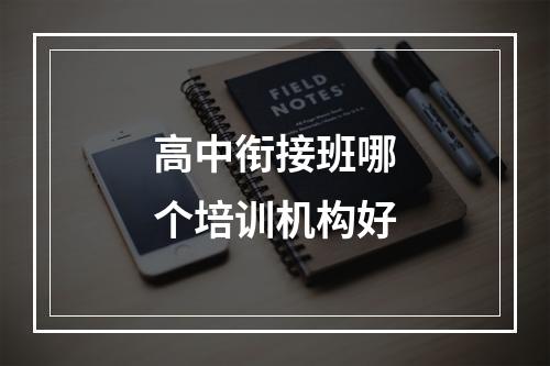 高中衔接班哪个培训机构好