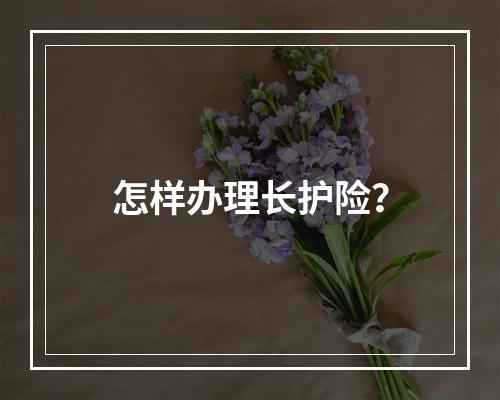 怎样办理长护险？