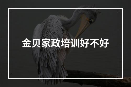 金贝家政培训好不好