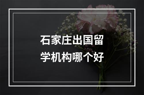 石家庄出国留学机构哪个好