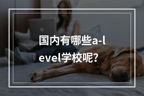 国内有哪些a-level学校呢？