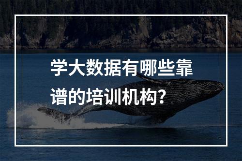 学大数据有哪些靠谱的培训机构？