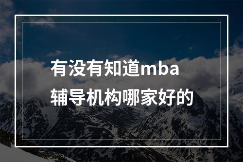 有没有知道mba辅导机构哪家好的