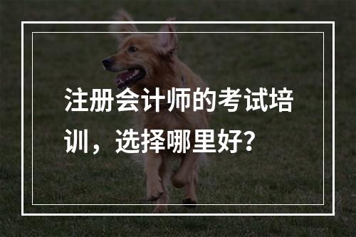 注册会计师的考试培训，选择哪里好？