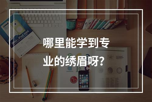 哪里能学到专业的绣眉呀？