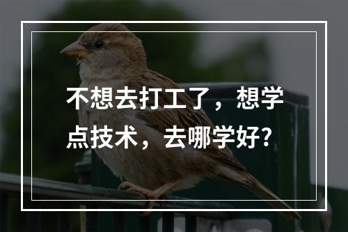 不想去打工了，想学点技术，去哪学好?