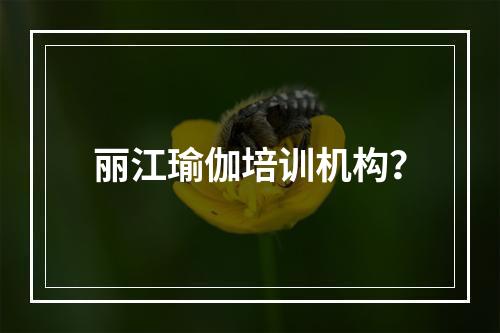 丽江瑜伽培训机构？