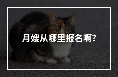 月嫂从哪里报名啊?