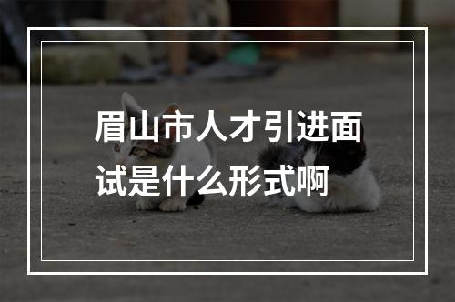 眉山市人才引进面试是什么形式啊