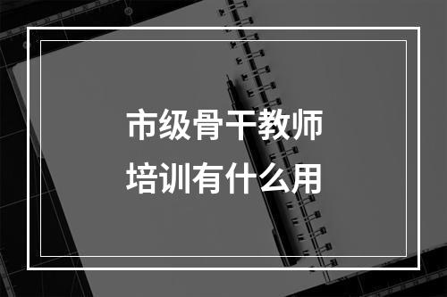 市级骨干教师培训有什么用